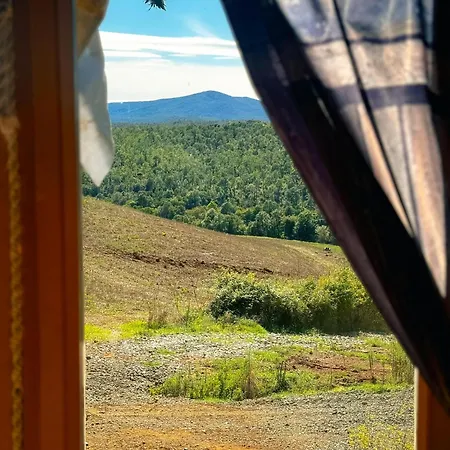 Panoramica *