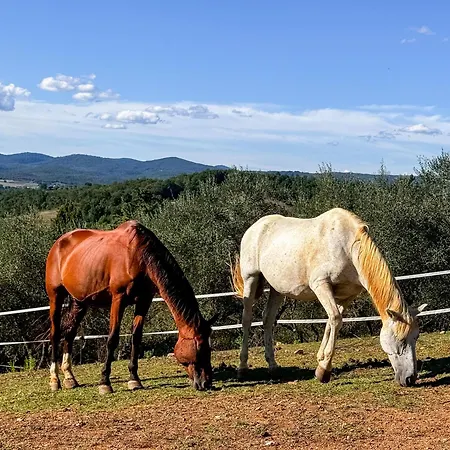 Luxusní stan Panoramica *